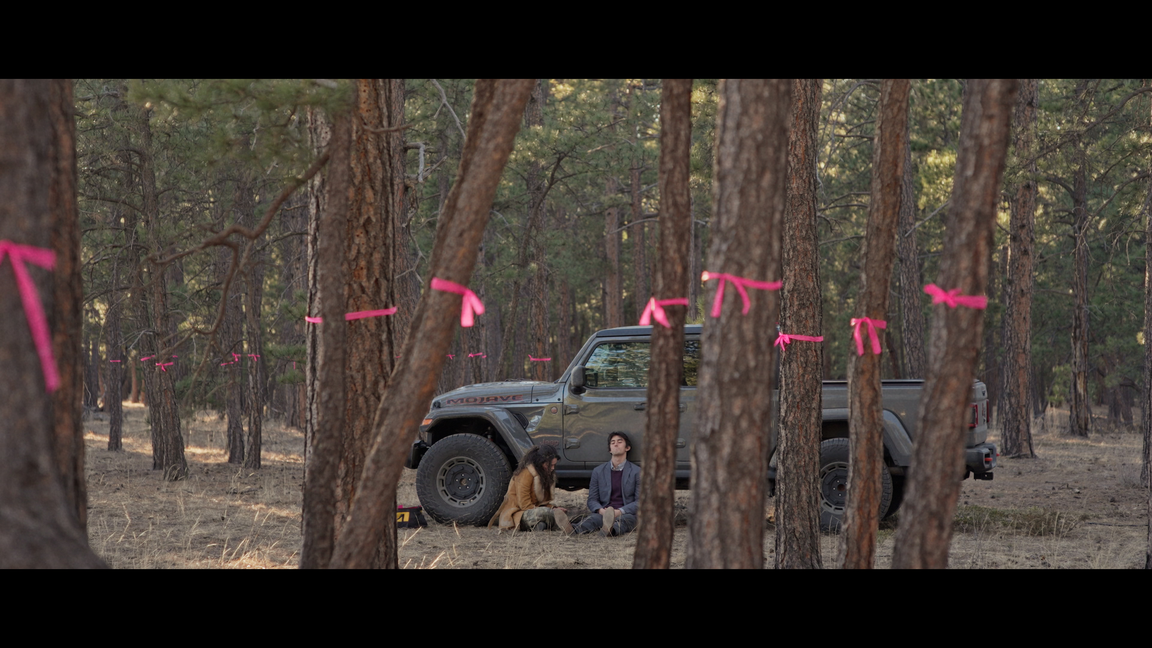 Logging Sitr